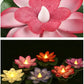 SALPITOYS Waterproof Artificial Floating Colorful Lotus with Battery Candles 1 Box/ 6 pcs Candle  (Multicolor, Pack of 6)